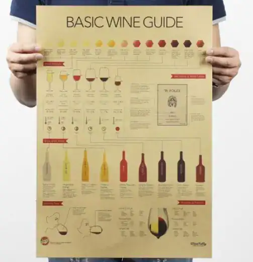 Poster Vinho Sommelier Uvas mapa educativo parede