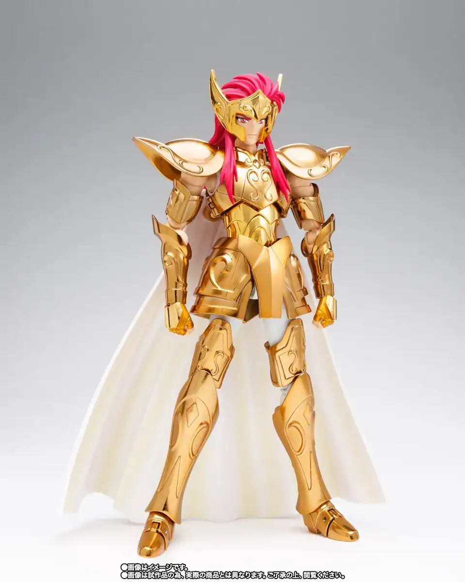 Cloth Myth Camus de Aquário Bandai Saint Seiya