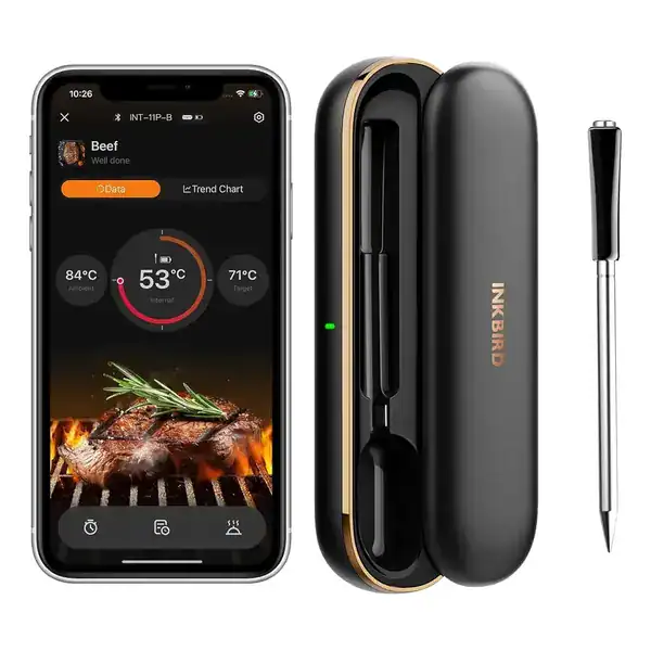 Termômetro de carne Bluetooth truly wireless com sonda sem fio