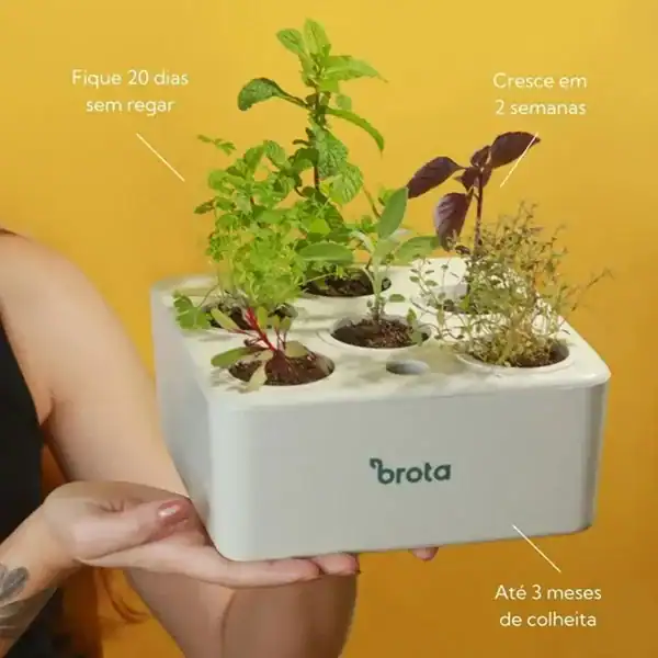 Brota Company — horta inteligente branca clássica (20×20 cm) — presente para quem gosta de cozinhar