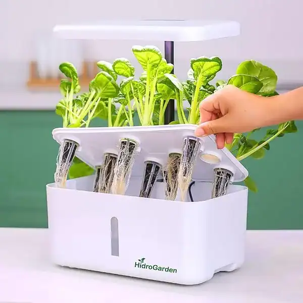 Kit horta inteligente HidroGarden com LED solar — presente para quem gosta de cozinhar